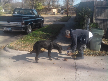 Angie feeding a stray in west Dallas.