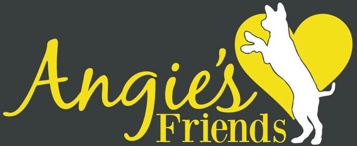 Angies Friends
